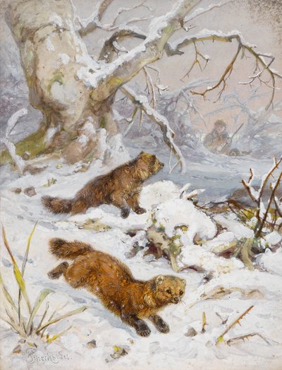 Wolverines in de sneeuw door August Specht